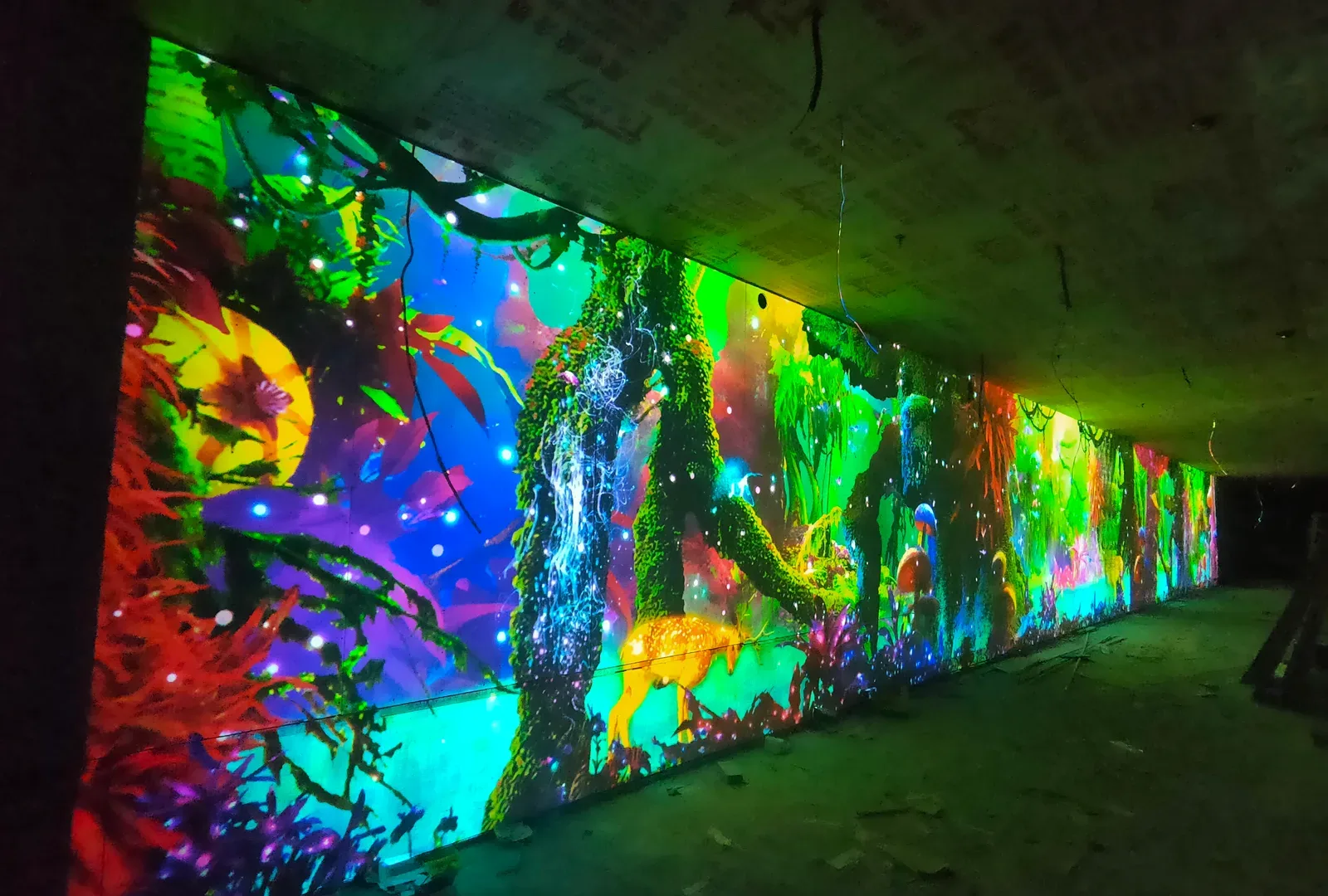Liupanshui Light & Shadow Art Corridor, Guizhou — 3
