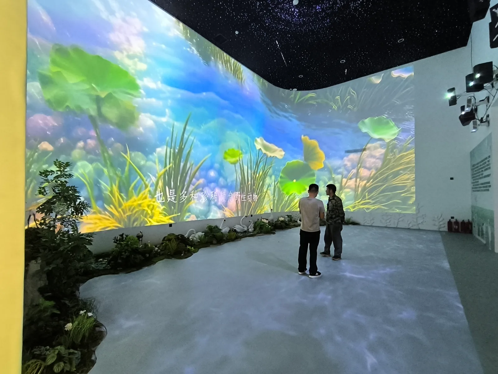 Xiangyanghu National Wetland Park Night Tour Projection (Xianning, Hubei) — 1