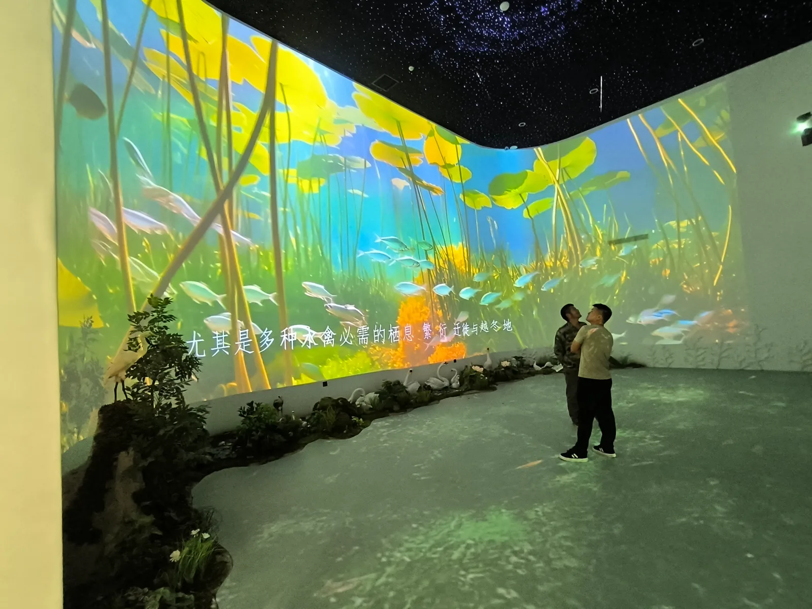 Xiangyanghu National Wetland Park Night Tour Projection (Xianning, Hubei) — 4