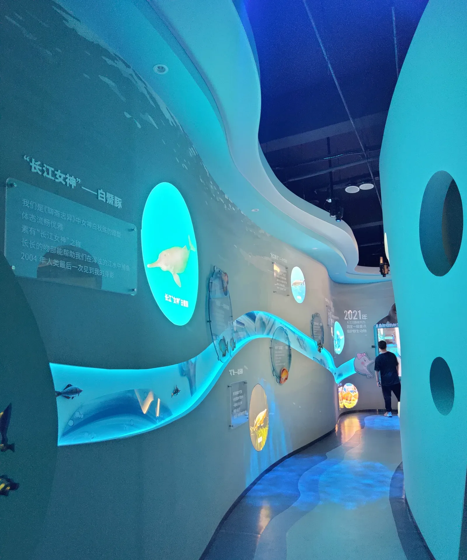 Hubei Yangtze River Ecological Protection Center — Immersive Exhibition — 4