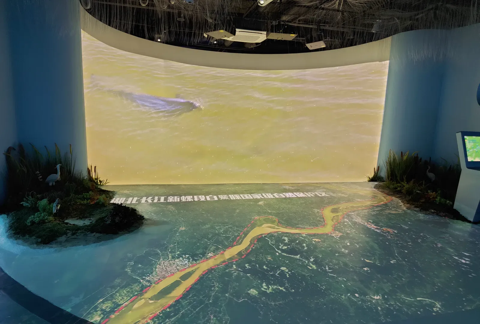 Hubei Yangtze River Ecological Protection Center — Immersive Exhibition — 6