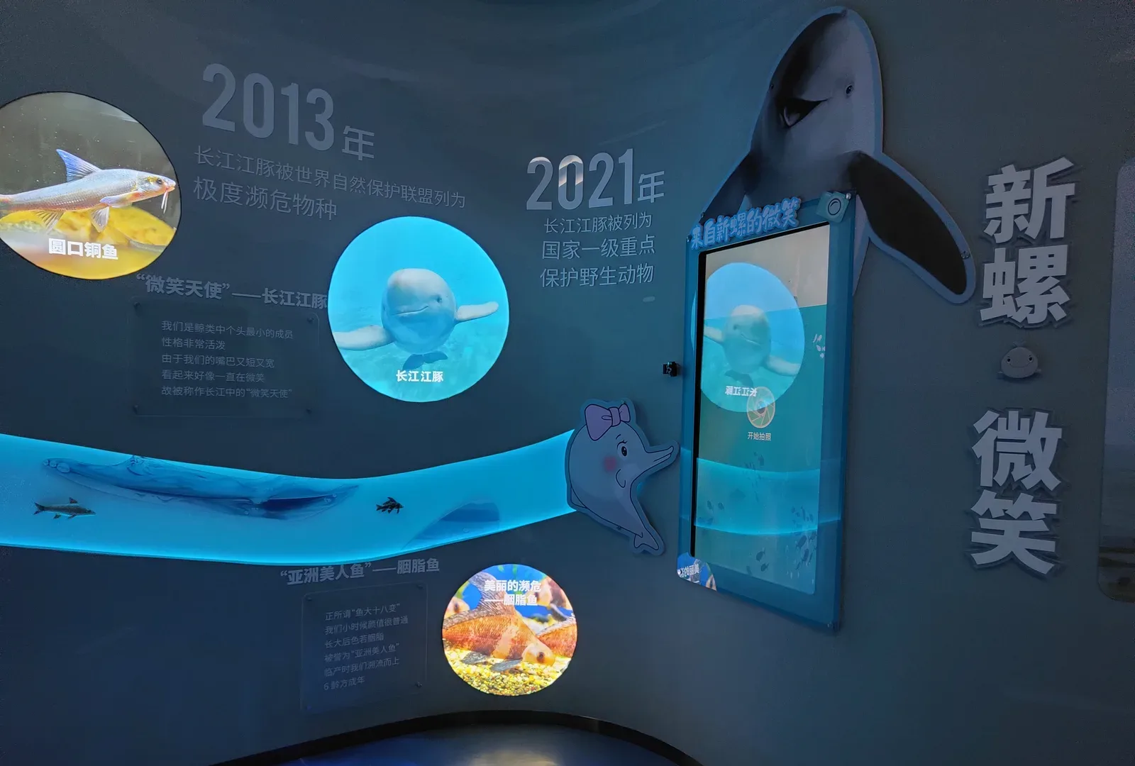 Hubei Yangtze River Ecological Protection Center — Immersive Exhibition — 7