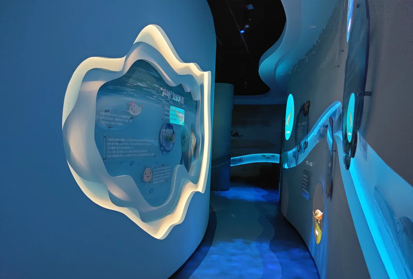 Museum and exhibition