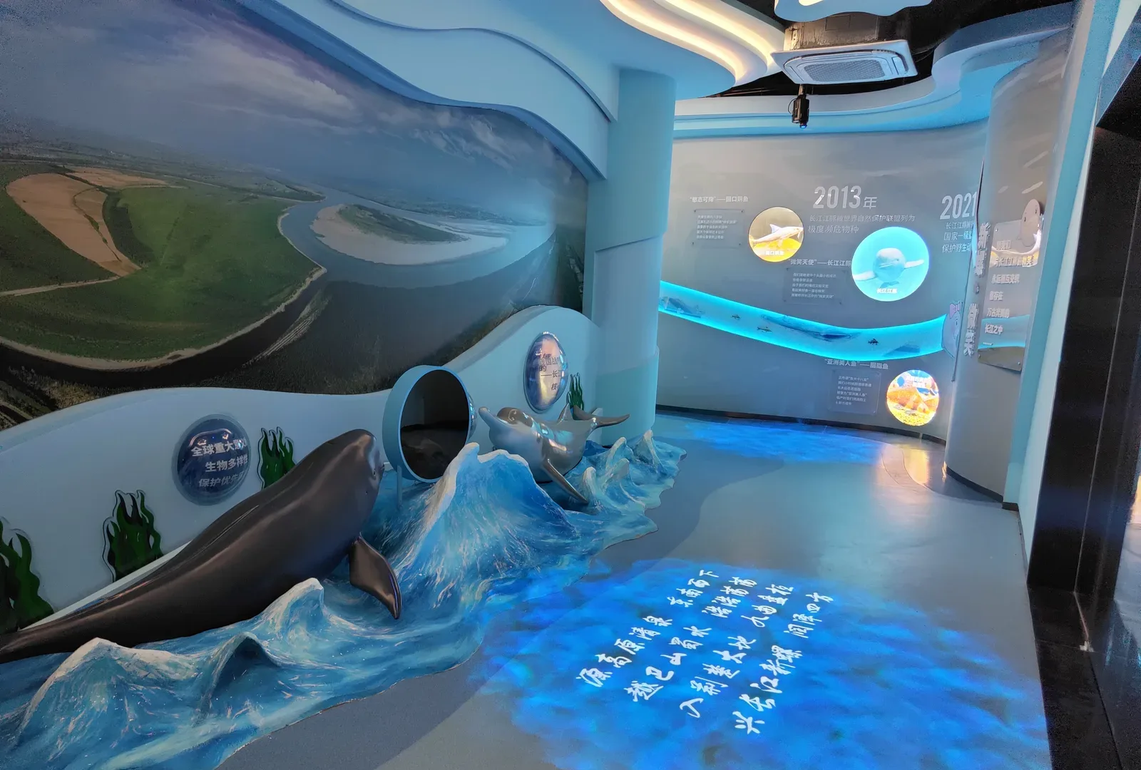 Hubei Yangtze River Ecological Protection Center — Immersive Exhibition — 10