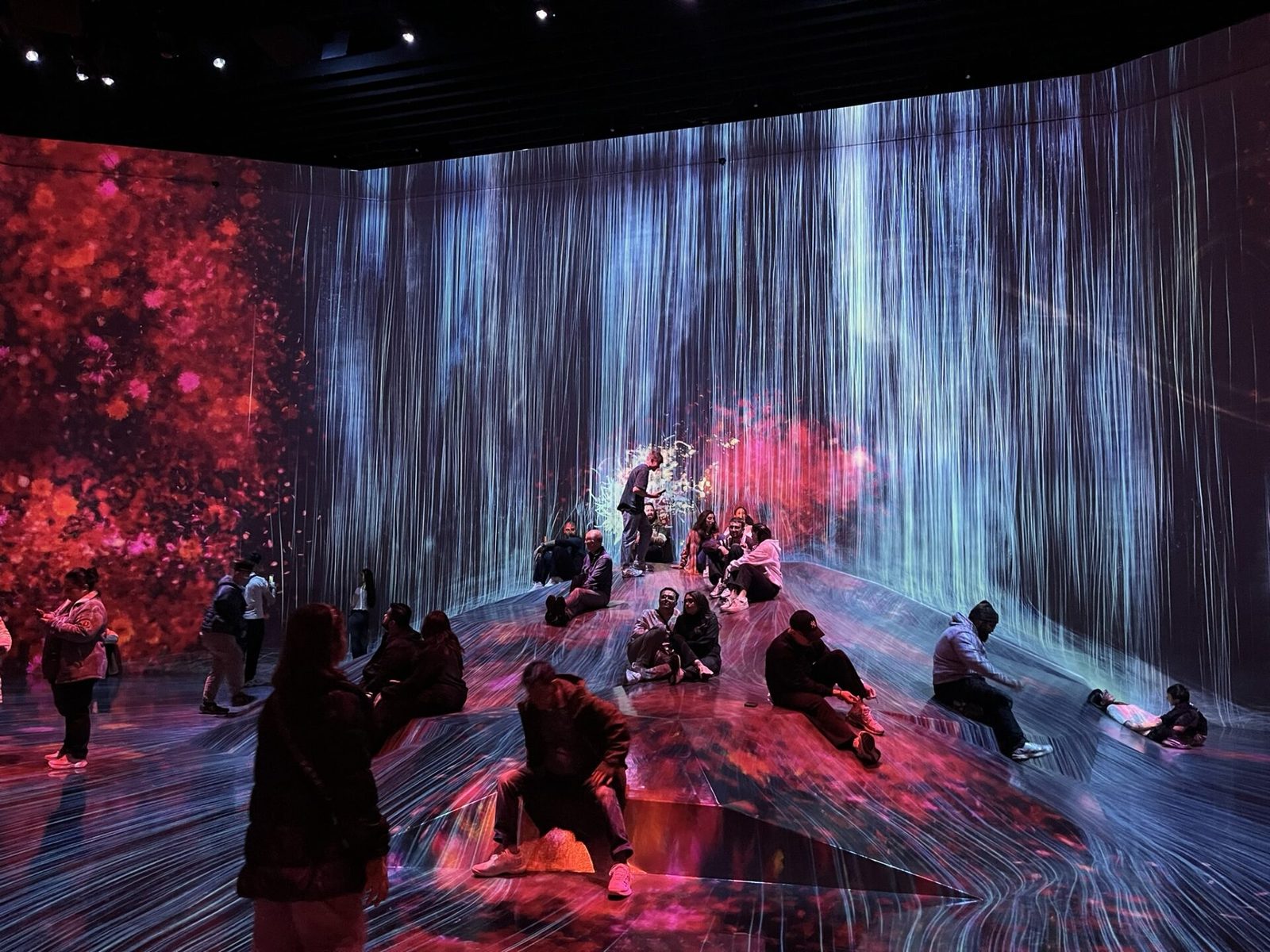 Visitor sitting on a mirrored floor beneath projected waterfalls and red flowers