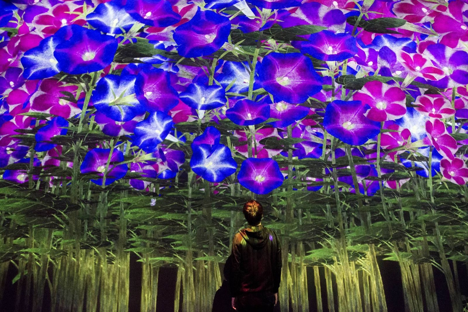 Immersive Space Guide: teamLab Lessons and Real Budgets