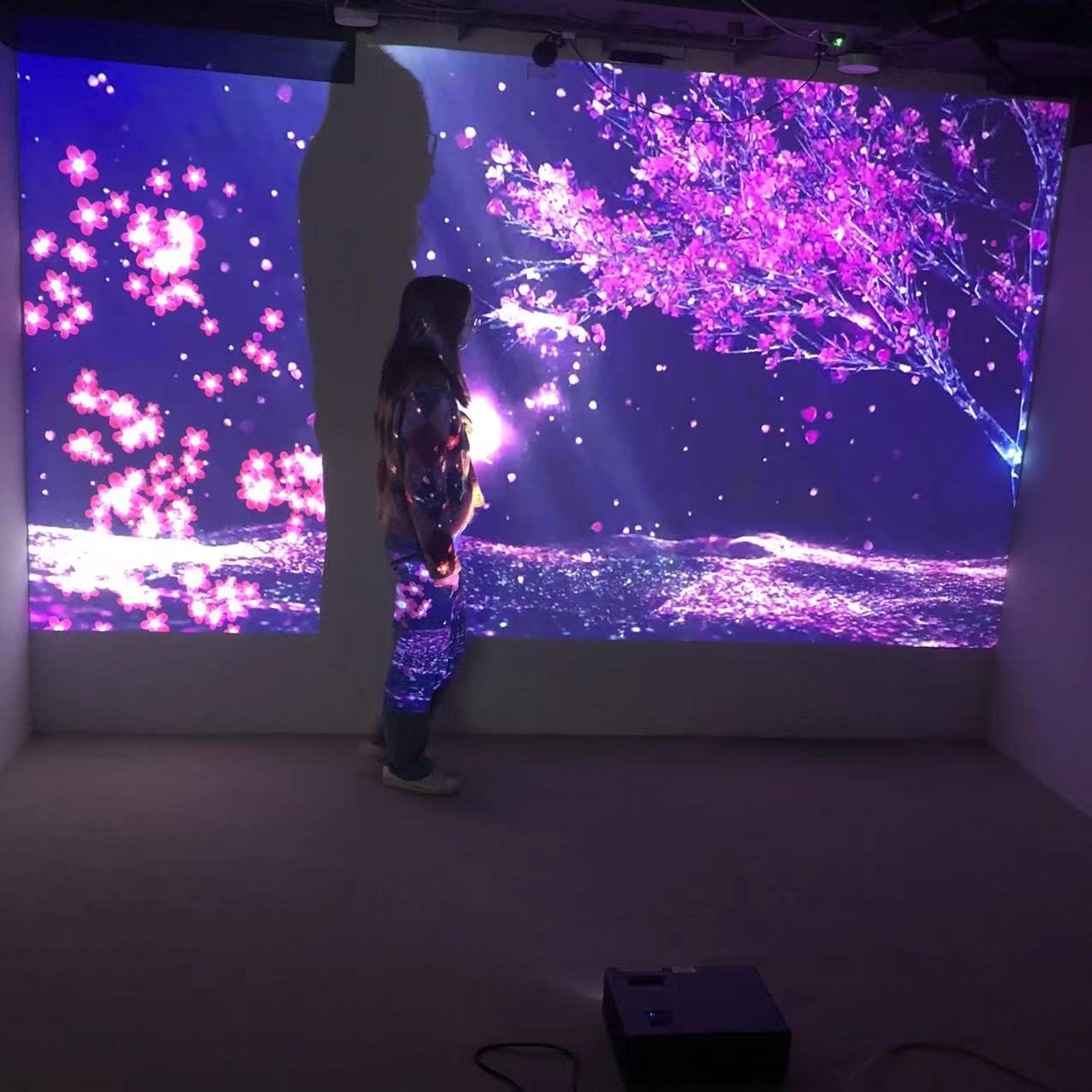 Ceiling-mounted projectors beside a wall projection installation