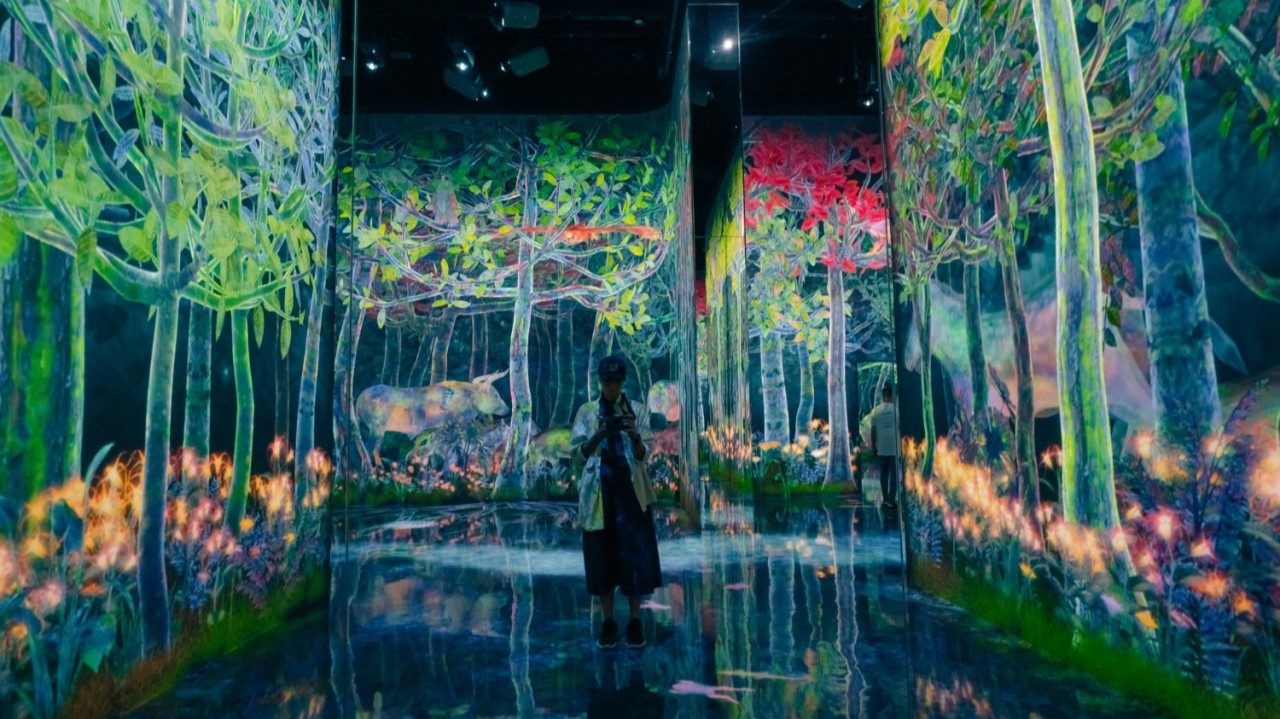 Visitors walking through a mirrored light forest where paths trigger blooming flowers