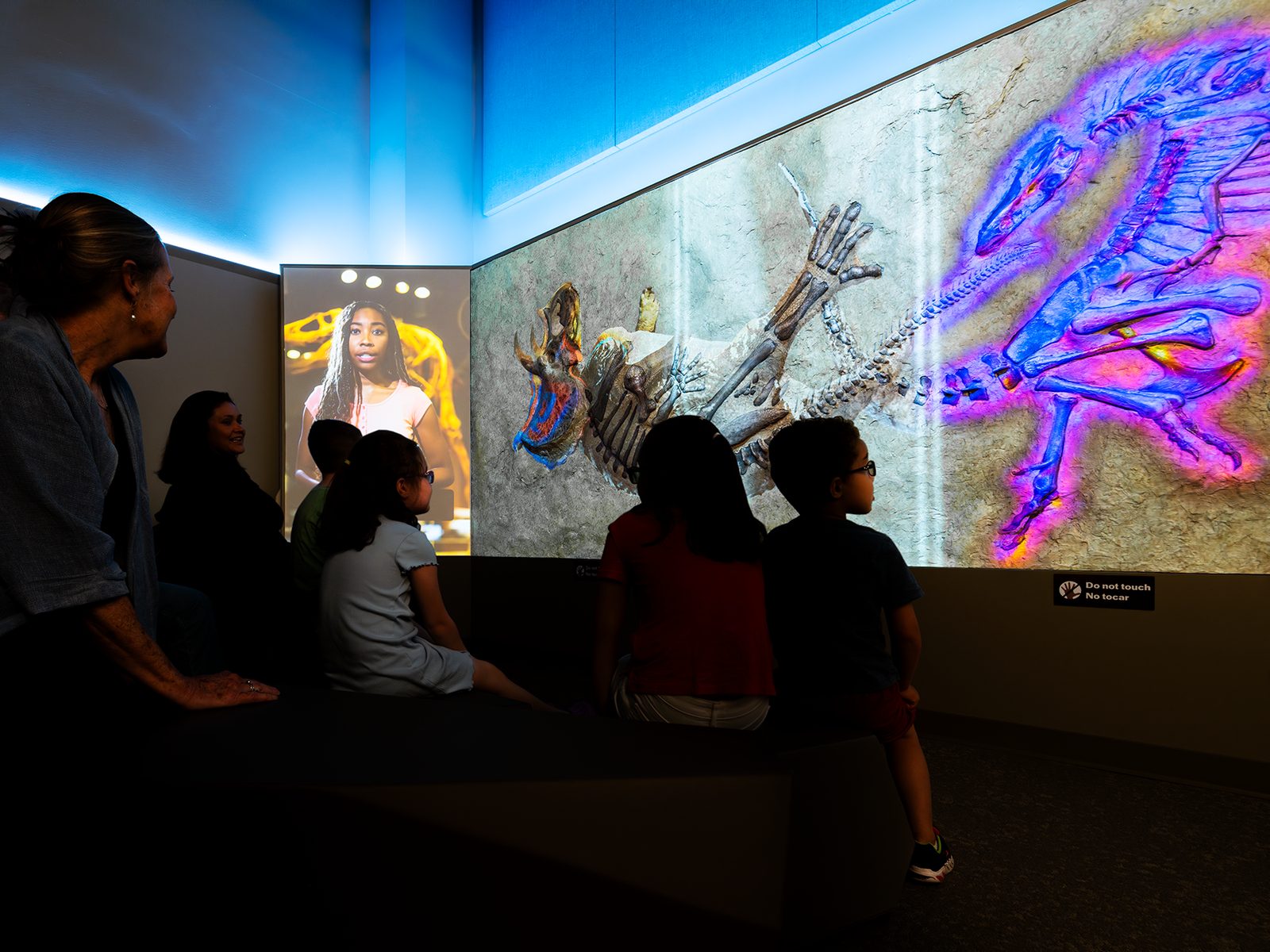 Dinosaur fossil displayed on a large interactive museum screen