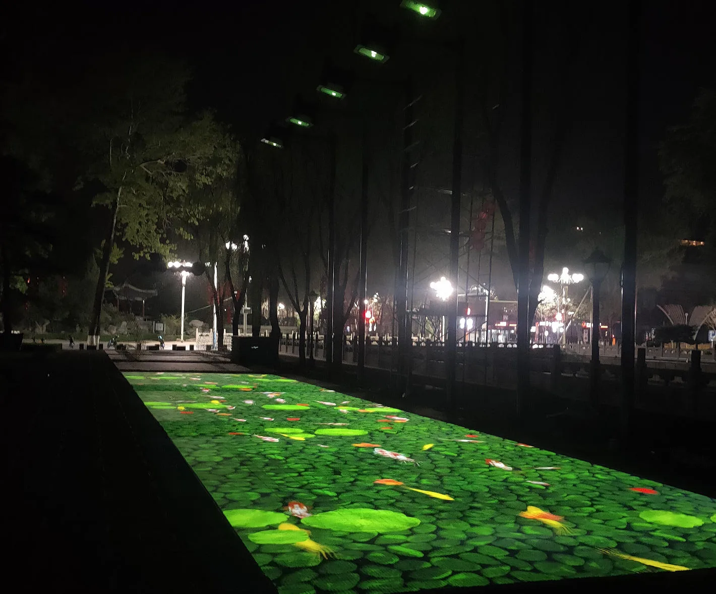 Interactive Projection