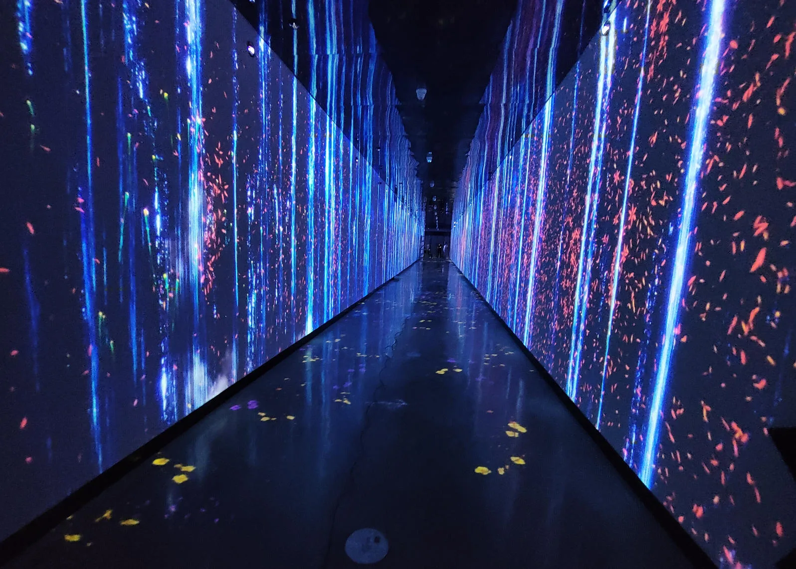Why Interactive Projectors Are Booming in Family Entertainment Centers