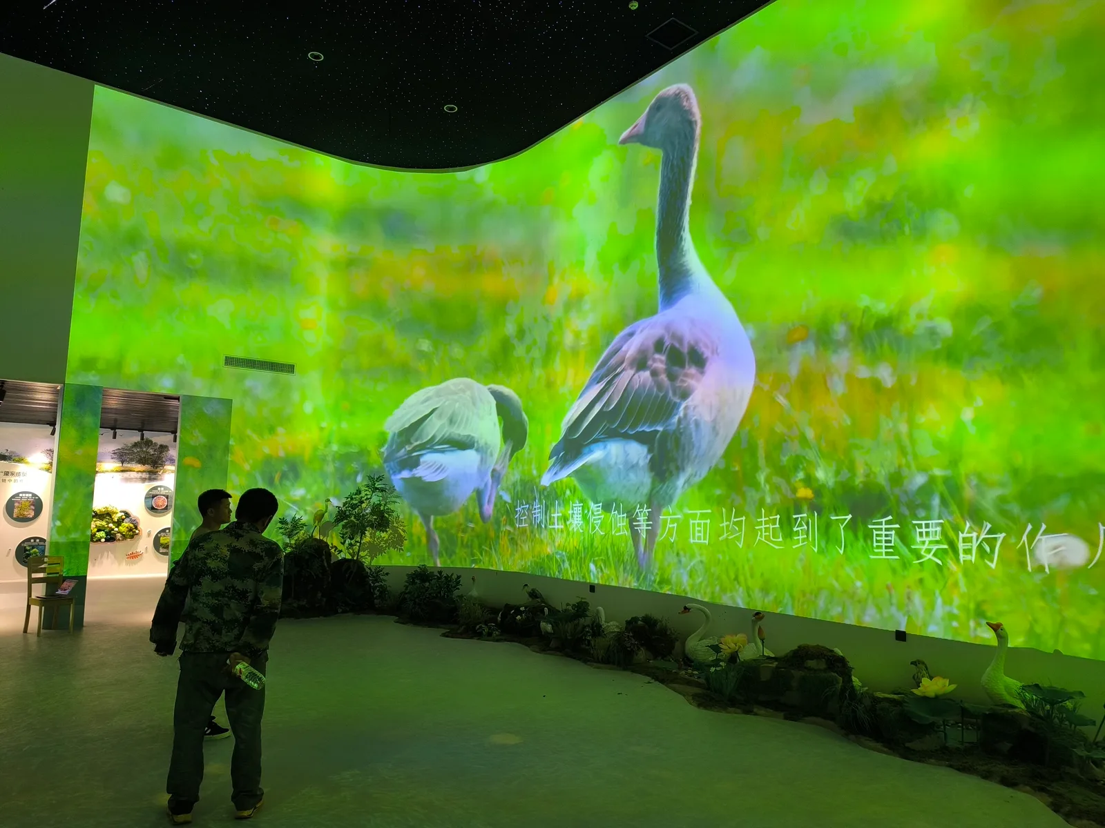 Outdoor Projection All-in-One: A Complete Buying Guide
