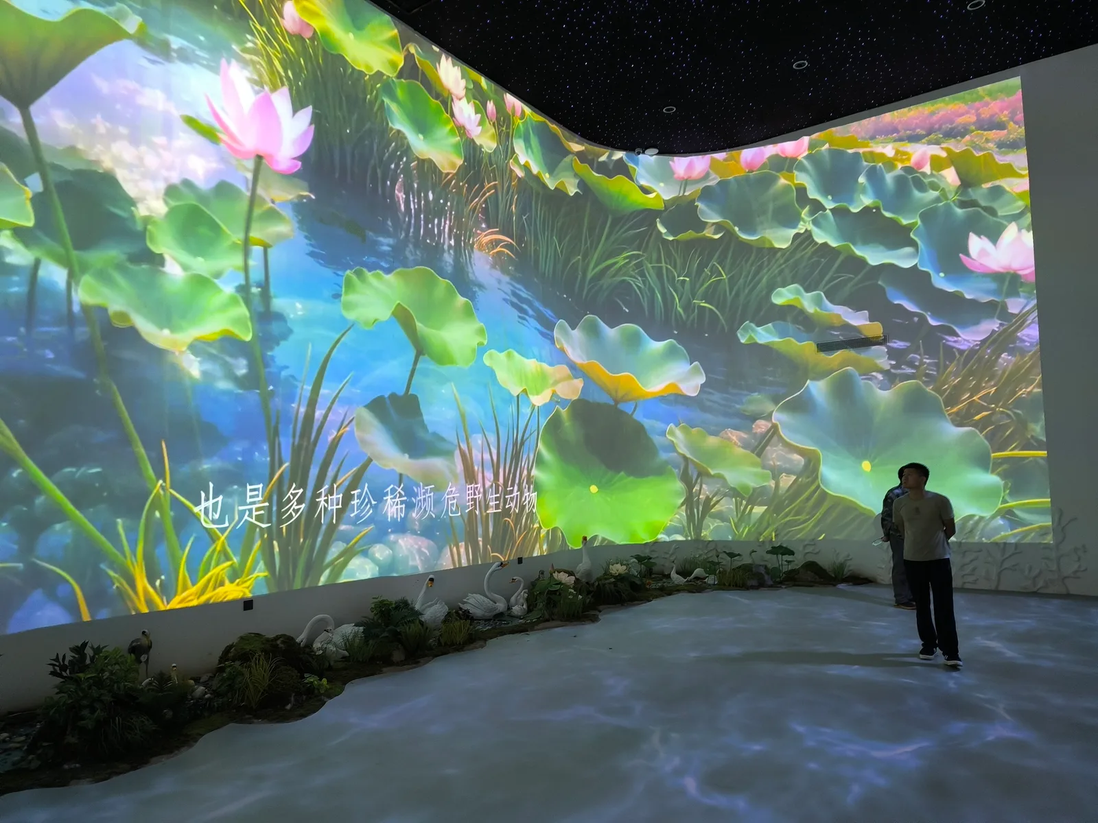 Outdoor Projection All-in-One